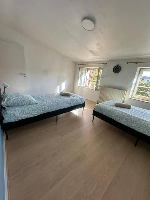 Le Leon Cladel T3 Proche Parking Gratuit Apartment Montauban Exterior photo